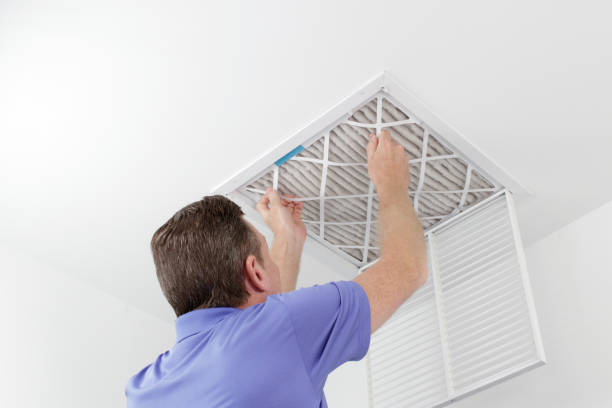 Best Local Air Duct Cleaning Services  in Little Falls, MN